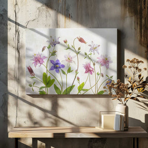 Tablou canvas „Columbine” de Mandy Disher