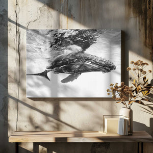 Tablou canvas „Humpback whale calf” de Barathieu Gabriel