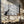 Tablou canvas „A view of the tree crown” de Tom Pavlasek