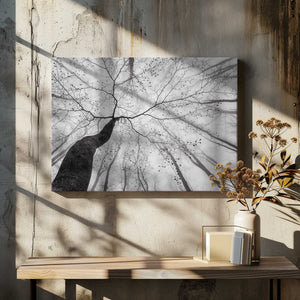 Tablou canvas „A view of the tree crown” de Tom Pavlasek