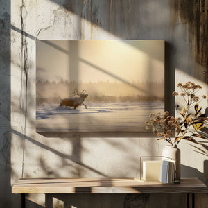 Tablou canvas „Alpha male” de Patrik Minar