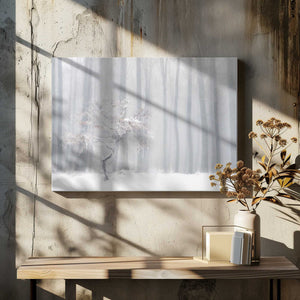 Tablou canvas „In front of the misty curtain” de Peter Svoboda MQEP