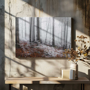 Tablou canvas „Winter moods” de Burim Muqa