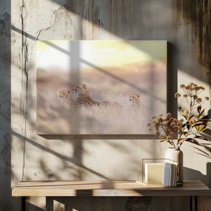 Tablou canvas „Cheetah Family” de Ozkan Ozmen / Big Lens Adventures