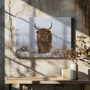 Tablou canvas „Highlander in Snow” de Jaap van den Helm