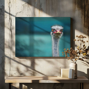 Tablou canvas „Ostrich Protecting two Poor Chicken from the Wind” de Piet Flour
