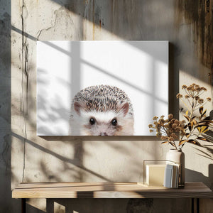 Tablou canvas „Peeking Hedgehog” de Kathrin Pienaar