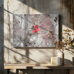 Tablou canvas „Crossbill  in the Snow” de Kimberly