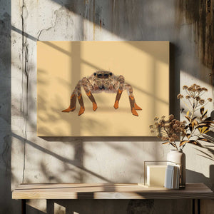 Tablou canvas „Lydia the Leggiest Cowgirl Spider” de Anyone Can Yeehaw