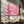 Tablou canvas „Marjorie the Cowgirl Pig” de Anyone Can Yeehaw