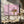 Tablou canvas „Atomic Pink Starburst Vintage Sign” de Tom Windeknecht