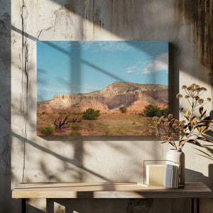 Tablou canvas „Ghost Ranch IX” de Bethany Young