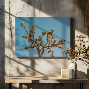 Tablou canvas „Joshua Tree Moon III” de Bethany Young