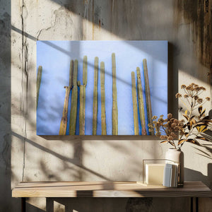 Tablou canvas „Tall Cacti on Blue | Oaxaca Mexico Travel” de Raisa Zwart