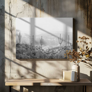 Tablou canvas „Western Cactus” de Kathrin Pienaar