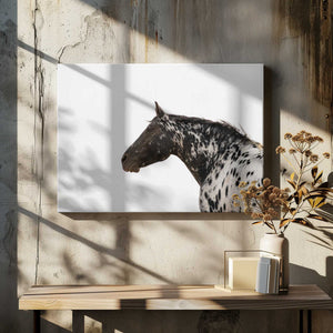 Tablou canvas „Andromeda 4” de Crystal Lynn Collins