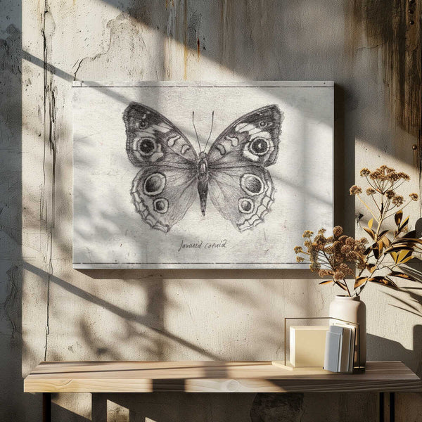 Tablou canvas „Butterfly Showcases Intricate Wing” de Mike Koubou