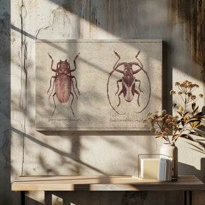 Tablou canvas „Vintage Insecta Duo” de Mike Koubou