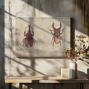 Tablou canvas „Beetle Illustrations” de Mike Koubou