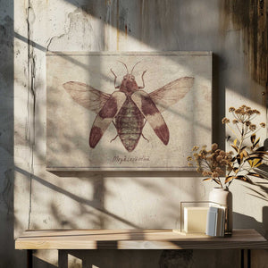 Tablou canvas „Vintage Insect Illustration” de Mike Koubou