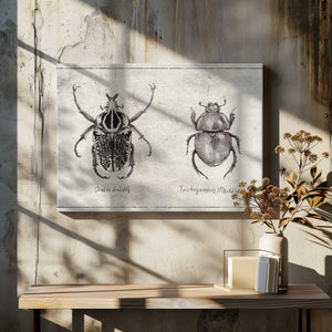 Tablou canvas „Ornate Goliath  Trichogomphus Martabani” de Mike Koubou