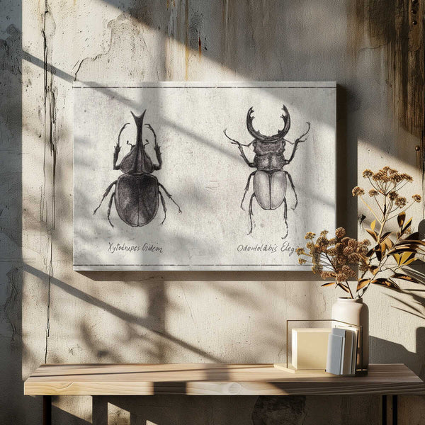 Tablou canvas „Xylotrupes Gideon Odontolabis Elegans” de Mike Koubou