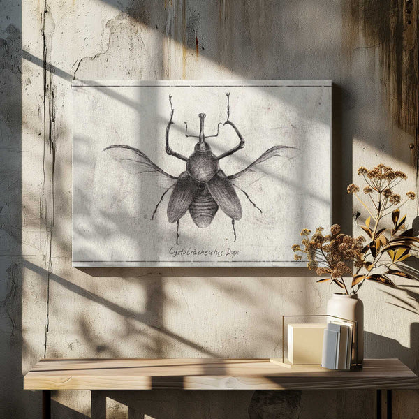 Tablou canvas „Cyrtotrachelus Dux” de Mike Koubou