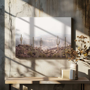 Tablou canvas „Arizona Valley” de Kathrin Pienaar