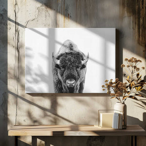 Tablou canvas „Bison Bw” de Kathrin Pienaar