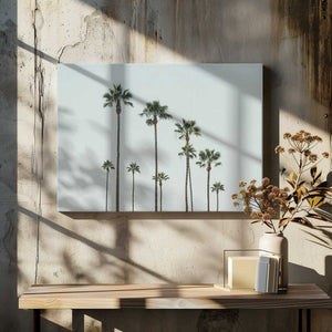 Tablou canvas „Cali Palms” de Kathrin Pienaar
