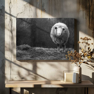 Tablou canvas „Wondering sheep” de Ajven