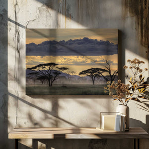 Tablou canvas „Good evening tanazania” de Amnon Eichelberg