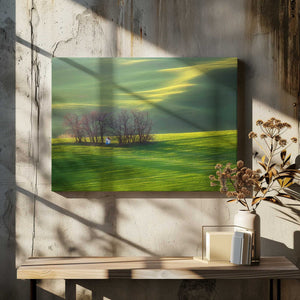 Tablou canvas „Fields...” de Krzysztof Browko