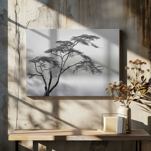 Tablou canvas „a very long story” de Piet Flour