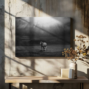 Tablou canvas „morning appearance” de Peter Svoboda MQEP