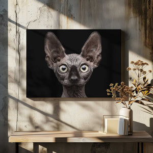 Tablou canvas „Sphynx Cat” de Patrick Matte