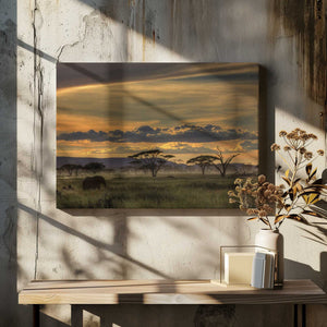 Tablou canvas „Africa” de Amnon Eichelberg