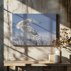 Tablou canvas „Snowy Owl” de Mircea Costina