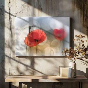 Tablou canvas „Morning Poppies” de Steve Moore