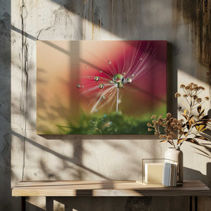Tablou canvas „Red Morning” de Heidi Westum