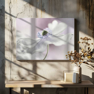 Tablou canvas „Anemone breeze” de Mandy Disher