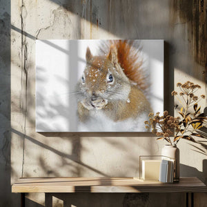 Tablou canvas „Christmas Squirrel” de Mircea Costina