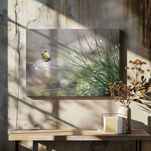 Tablou canvas „Imminent Landing” de Anna Cseresnjes