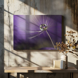 Tablou canvas „In shades of purple” de Heidi Westum
