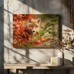 Tablou canvas „Fox” de Robert Adamec