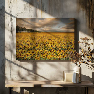 Tablou canvas „Sunflowers” de Piotr Krol (Bax)