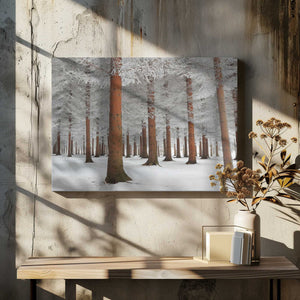 Tablou canvas „In White” de Dragisa Petrovic