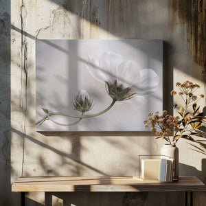 Tablou canvas „Simply Cosmos” de Mandy Disher