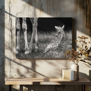Tablou canvas „well protected” de Andreas Feldtkeller