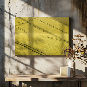 Tablou canvas „Field #2” de Clive Collie